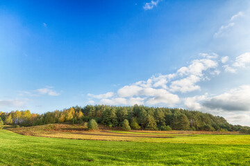 Landscape autumn field with colourful trees, autumn Poland, Europe and amazing blue sky with clouds, sunny day