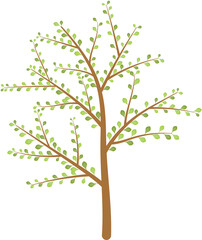 Tree Plant Clipart