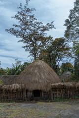Fototapeta na wymiar The Honai house is one of the typical Papuan houses, in the Baliem valley, Jayawijaya Regency, Papua.