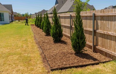 Outdoor Lawn and Landscape