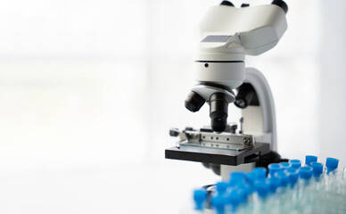 Scientist working at the laboratory, doctor looking at a test tube of clear solution in a laboratory.
