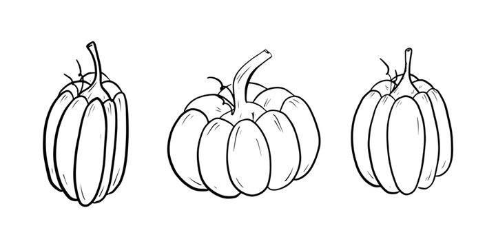 Vector doodle pumpkin. Thanksgivings and Halloween decoration. Set of pumpkins for children's colouring page
