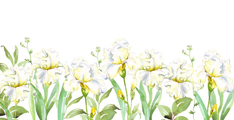 Obraz na płótnie Canvas White irises border. Watercolor clipart