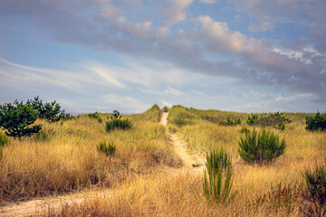 Obraz premium a sandy trail leading up a grass covered sand dune