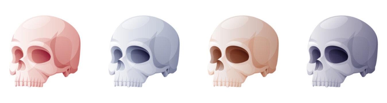 Set of skulls on a white background. Cartoon vector illustration for Halloween holiday. Terrible and terrible holiday symbol.