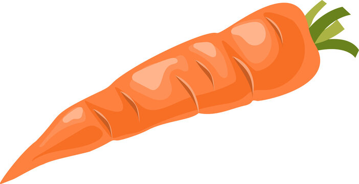 Cartoon Carrot Images – Browse 251,741 Stock Photos, Vectors, and Video |  Adobe Stock
