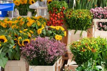 Fototapeta na wymiar Many different flowers at a floral shop. Showcasing Background mix of colors.