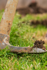 Outdoor Lawn and Landscape