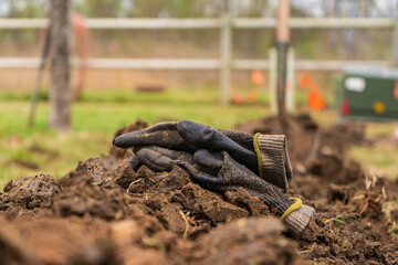 Outdoor Lawn and Landscape