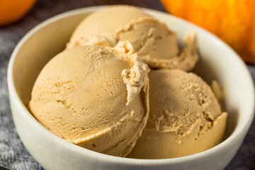 Homemade Pumpkin Spice Ice Cream