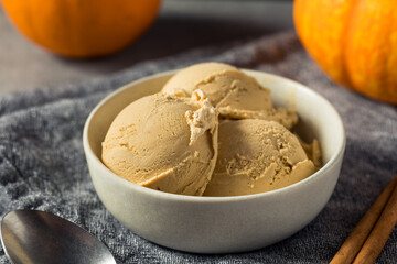 Homemade Pumpkin Spice Ice Cream