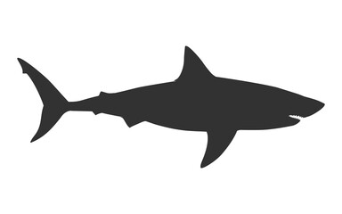 shark great white pointer silhouette