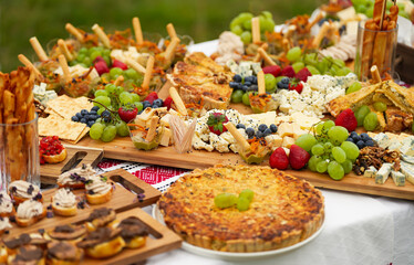Platter of home-cooked appetizers with vegetables, cheese and meat, prepared for an outdoor party and set in a rustic setting. Traditional Romanian food.