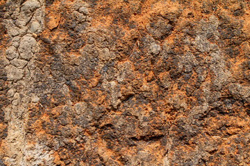 T he texture of rusty iron