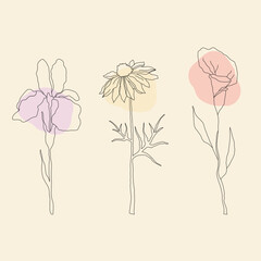 Flower minimalist Illustration Line art 