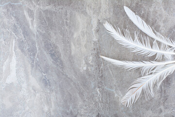Set of lying white fluffy twirled feathers on marble background