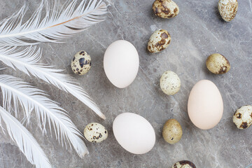 Fototapeta na wymiar Fresh eggs with feathers on a marble background