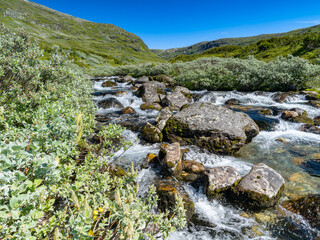 Fließender Fluss in den Bergen Norwegens