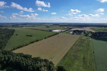 Pole lucerny © Pawel Szypula