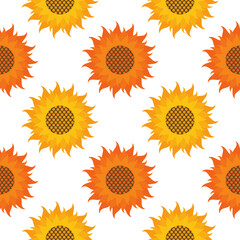 sunflower seamless pattern on white background