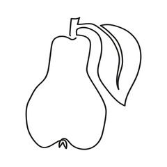 Pear icons. Pear in minimal line style. One line art drawing. Summer fruits. Vector illustration isolate on white background.