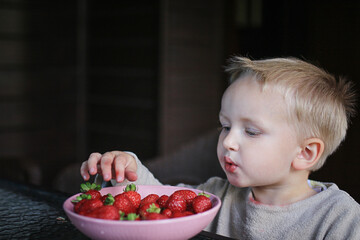 little boy eating strawberries