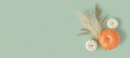 Autumn composition. Green desk with pumpkins and dried pampas grass. Flat lay, top view, copy...