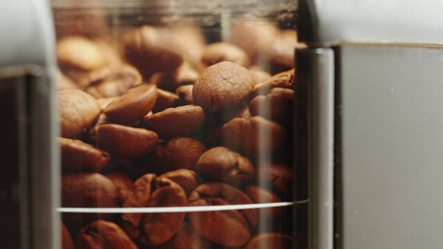 Electric Coffee grinder preparing to grind coffee in shop, barista making specialty drink.