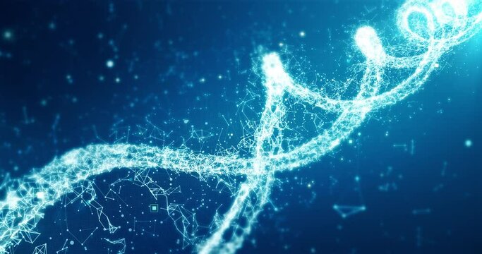 Blue DNA molecule, plexus animation of Double Helix, human genome. Medical research, genetic engineering, biology. Abstract 4k Background, 3D animation of Deoxyribonucleic acid molecule - Powered by Adobe