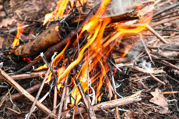 Close up of fire burning fire with wood sticks