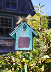 old bird house