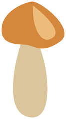 Plant decoration, nature design element. PNG with transparent background.