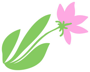 Plant decoration, nature design element. PNG with transparent background.