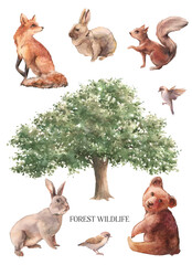 Forest animals set. Watercolor woodland friends. Isolated bear, fox, rabbits, squirrel. Hand painted elements