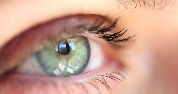 Macro view of open human female eye lashes