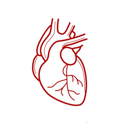 illustration of a heart