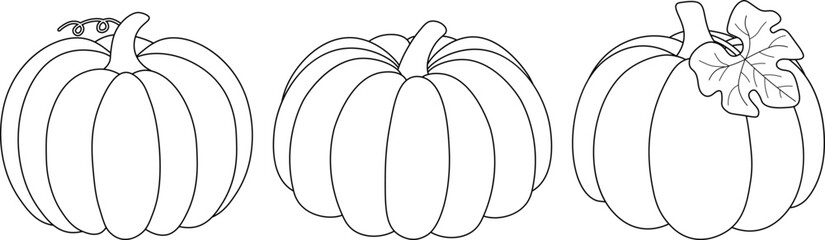 Set pumpkin coloring vector illustration