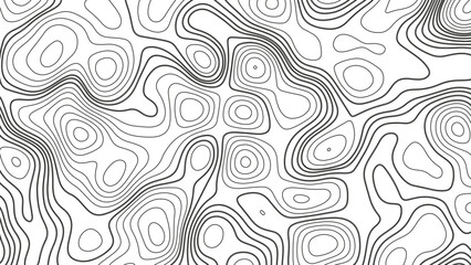 White wave paper curved reliefs abstract background, Abstract topographic contours map background. Geographic mountain relief. Abstract lines background. Contour maps. Business concept