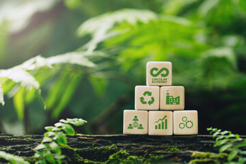 Fototapeta Circular economy concept.wooden cubes with a Circular economy icon on a green background. circular economy for future growth of business and design to reuse and renewable material resources. obraz