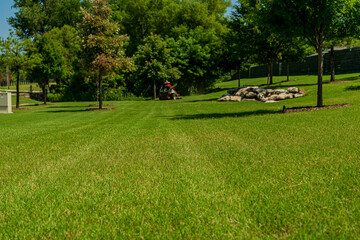 Outdoor Lawn and Landscape