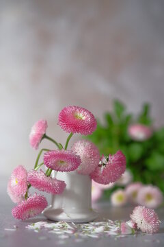 Pink daisies in a white ceramic stack with green leaves nearby.