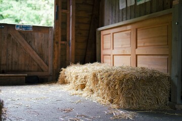 barn and hay