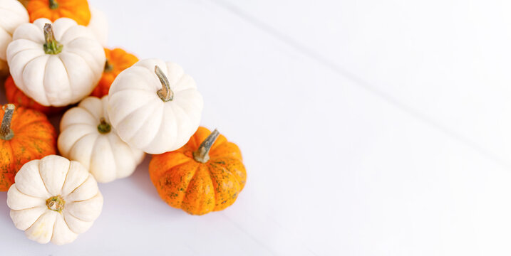 Autumn decoration on white with copy space. Fall, halloween, thanksgiving.