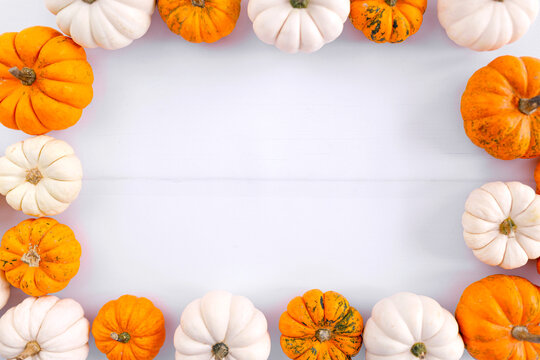 Autumn decoration on white with copy space. Fall, halloween, thanksgiving