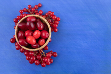 A bowl of hips surrounded with clusters of redcurrant on blue background
