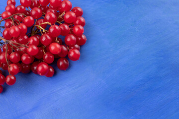 A cluster of fresh redcurrant on blue background