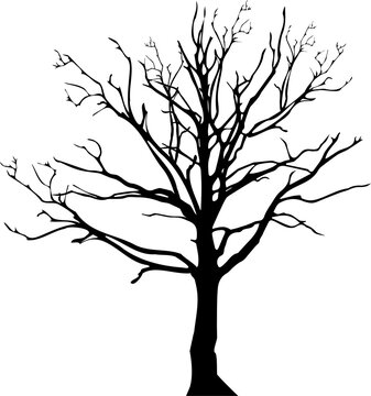 tree Silhouettes