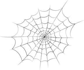 black spider web - 534290171