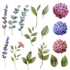 pattern with lilac flowers