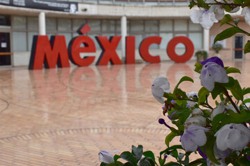 The mexican sign